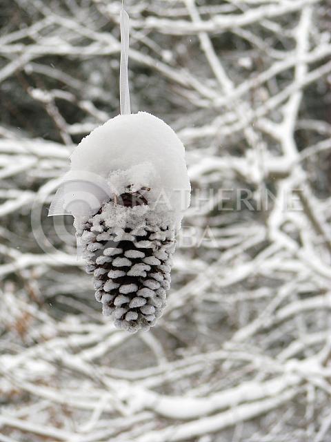 snow cone